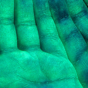 Uv Germ Hygiene Training Lotion