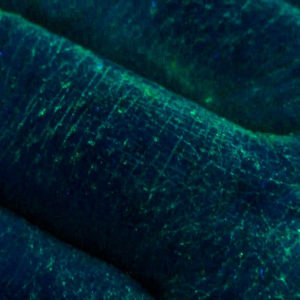 UV GERM Training lotion - close up